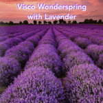 Visco Wonderspring with Lavender